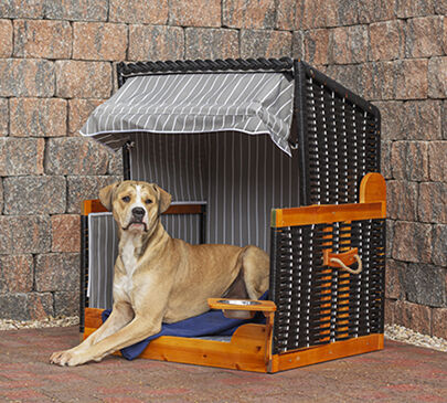 Hundestrandkorb – der Trend für Hundefreunde - Gartenmöbelblog von bene living - Hundestrandkorb – der Gartenmöbeltrend für Hundefreunde